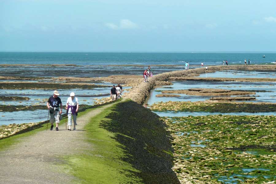 Marais salants de l'île de Ré