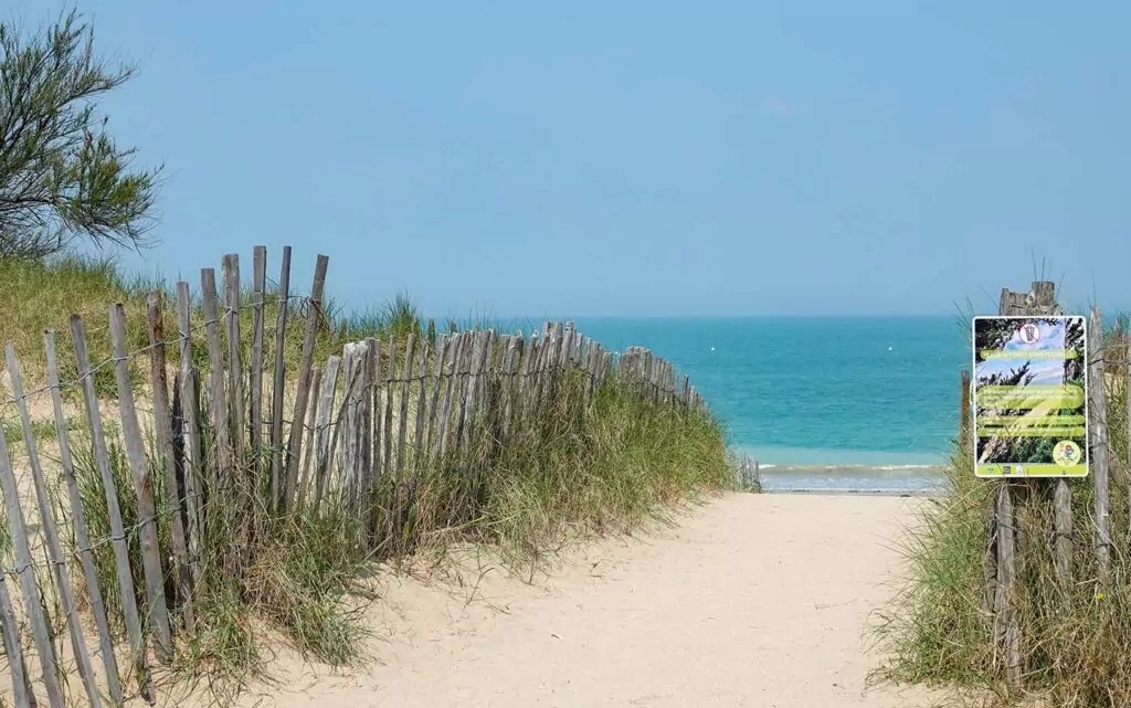 Plage de la Conche des Baleines, île de Ré — Camping Les Pérouses du Phare