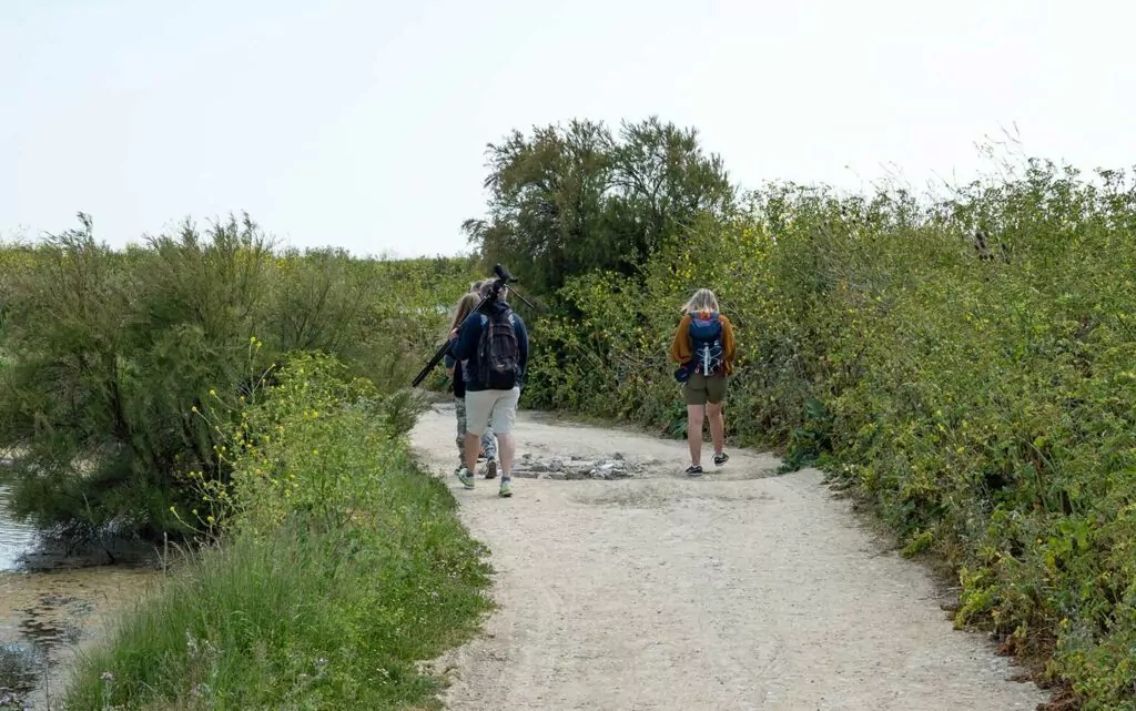 Découverte de la faune et flore de l'île de Ré