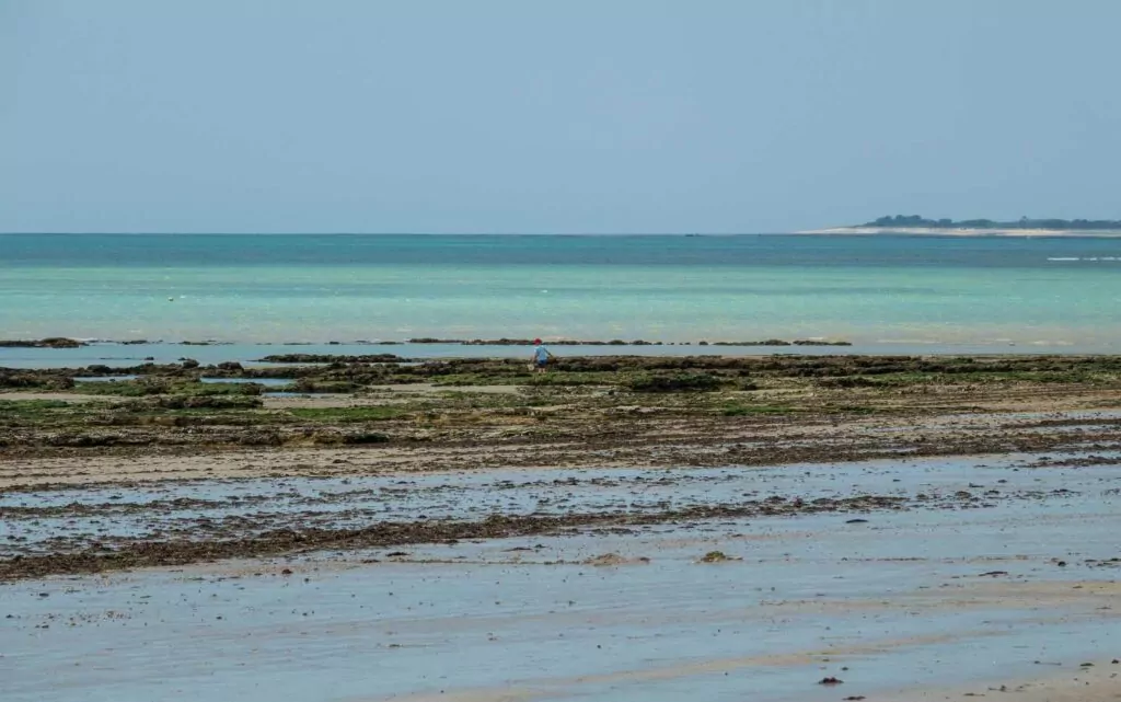 Sports sur l'Île de Ré, pêche à pied