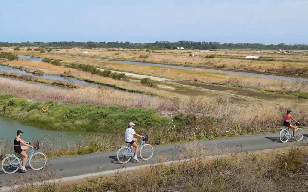 Vélos dans les marais salants de l'île de Ré